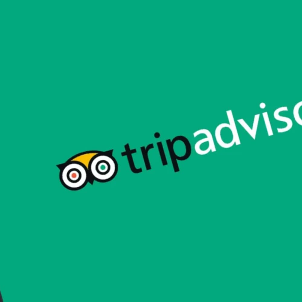 Tripadvisor Reviews